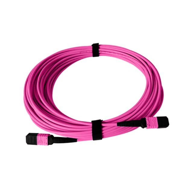 Patch Cord MTP 12 szál OM4 MMF TypeB LSZH 3ft